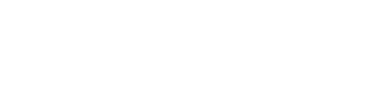 Instituto de Rendimiento Empresarial