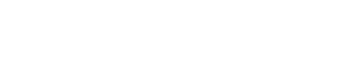 LeadMadness